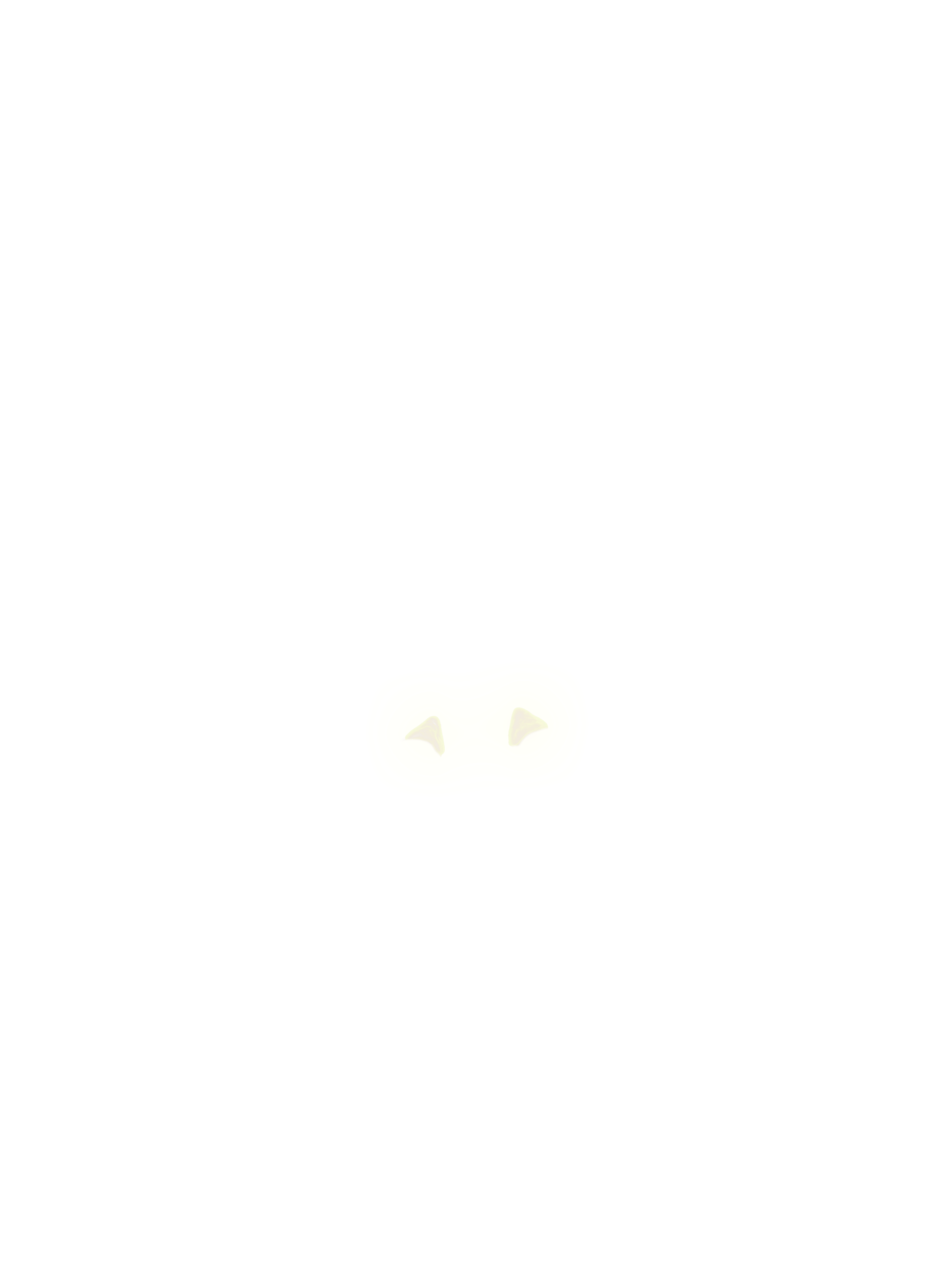 Adrenal Glands overlay