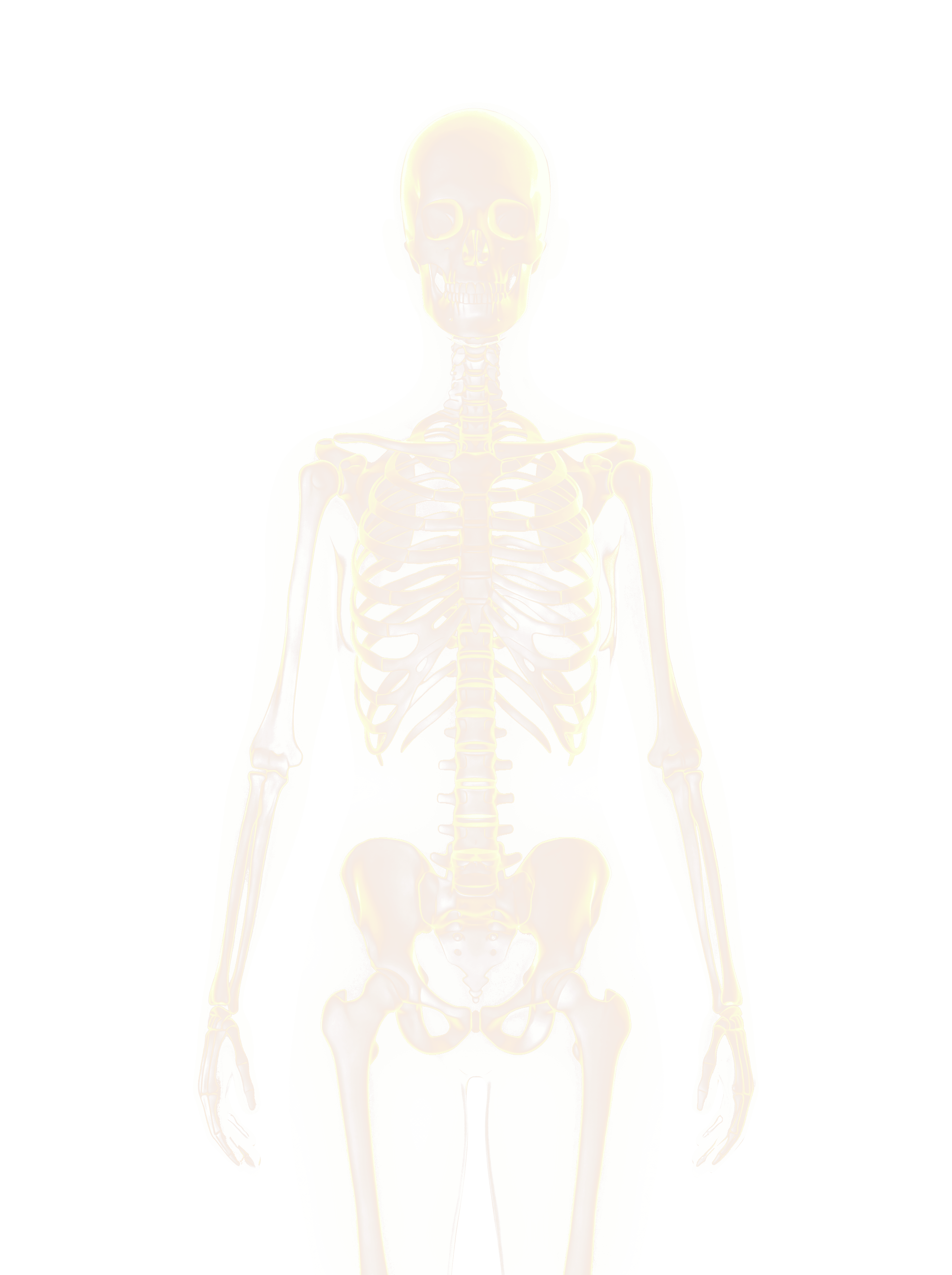 Bones overlay