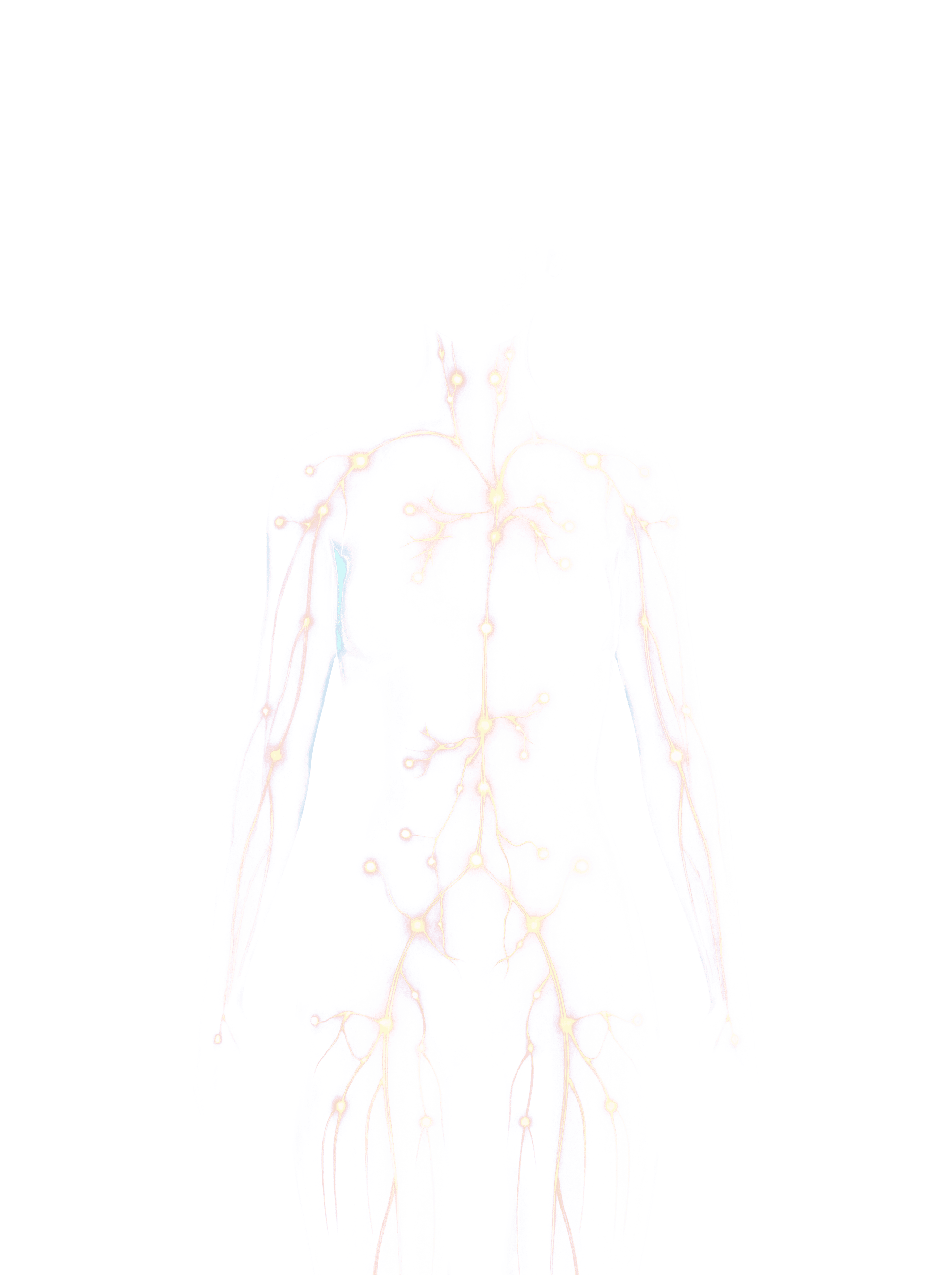 Cellular overlay