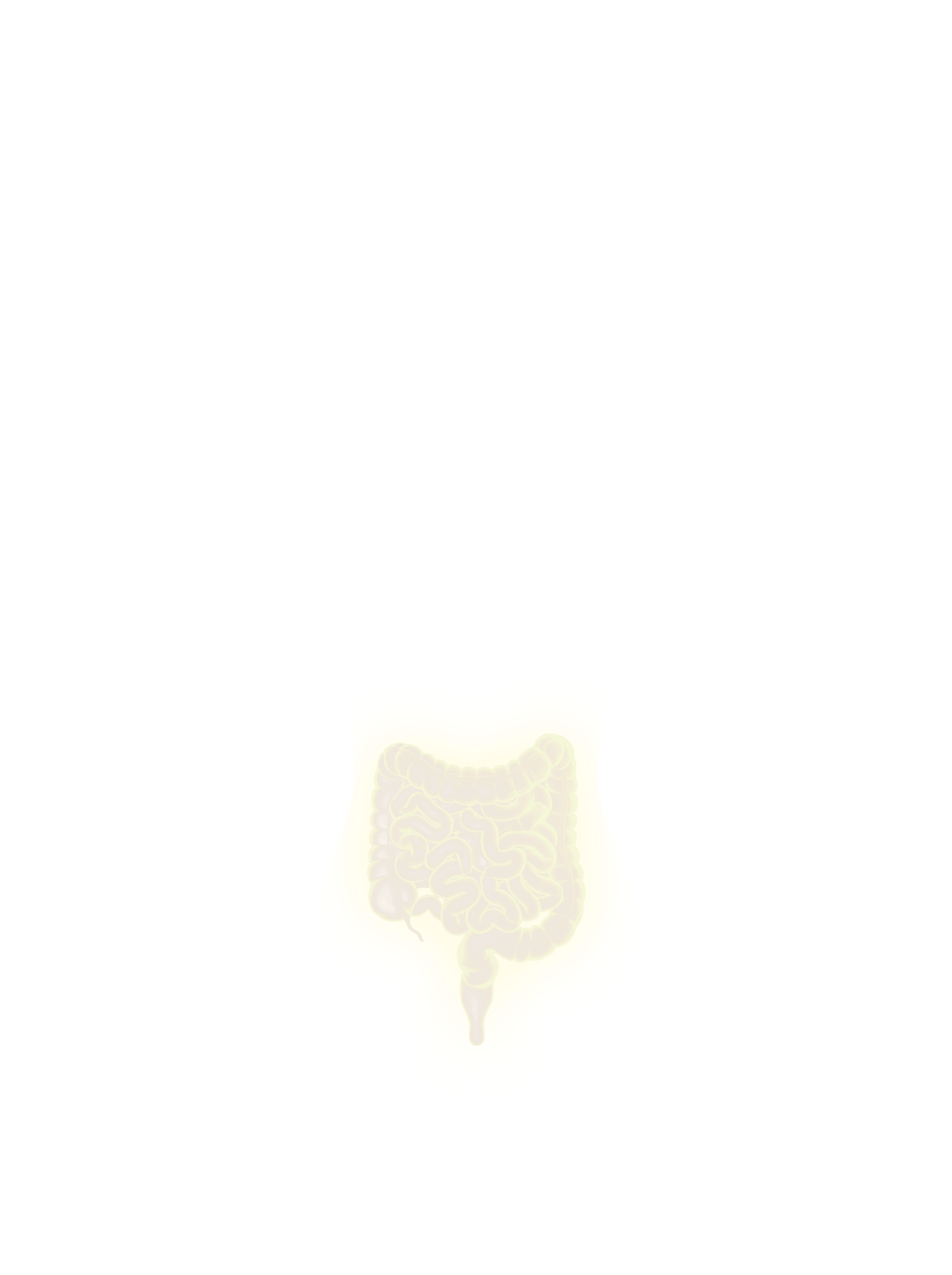 Intestines overlay