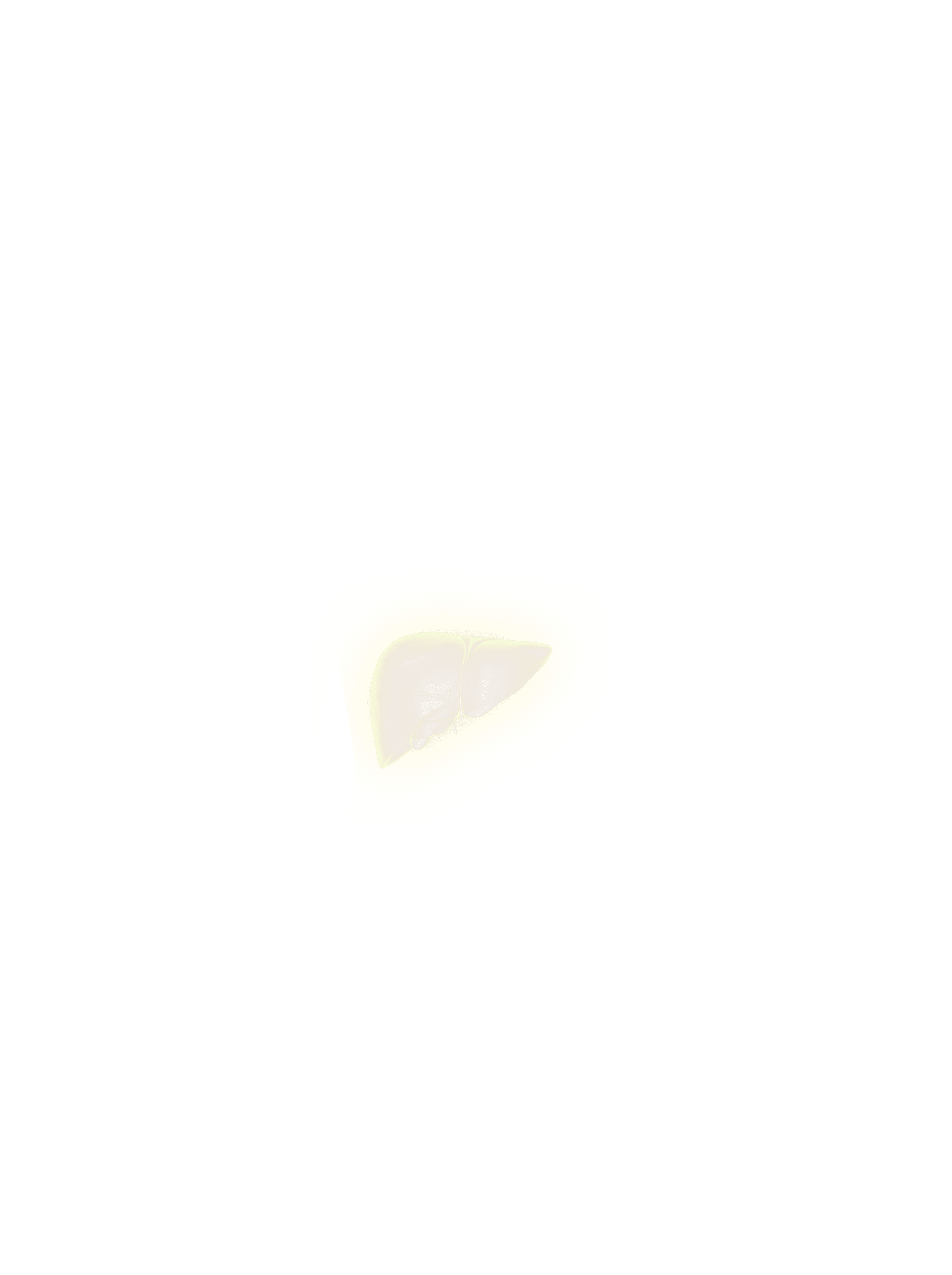 Liver overlay