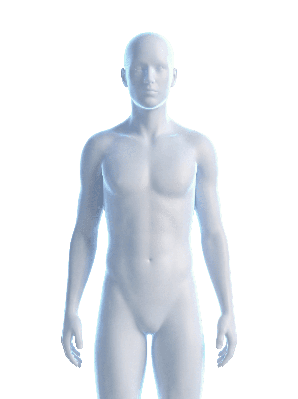 Human body