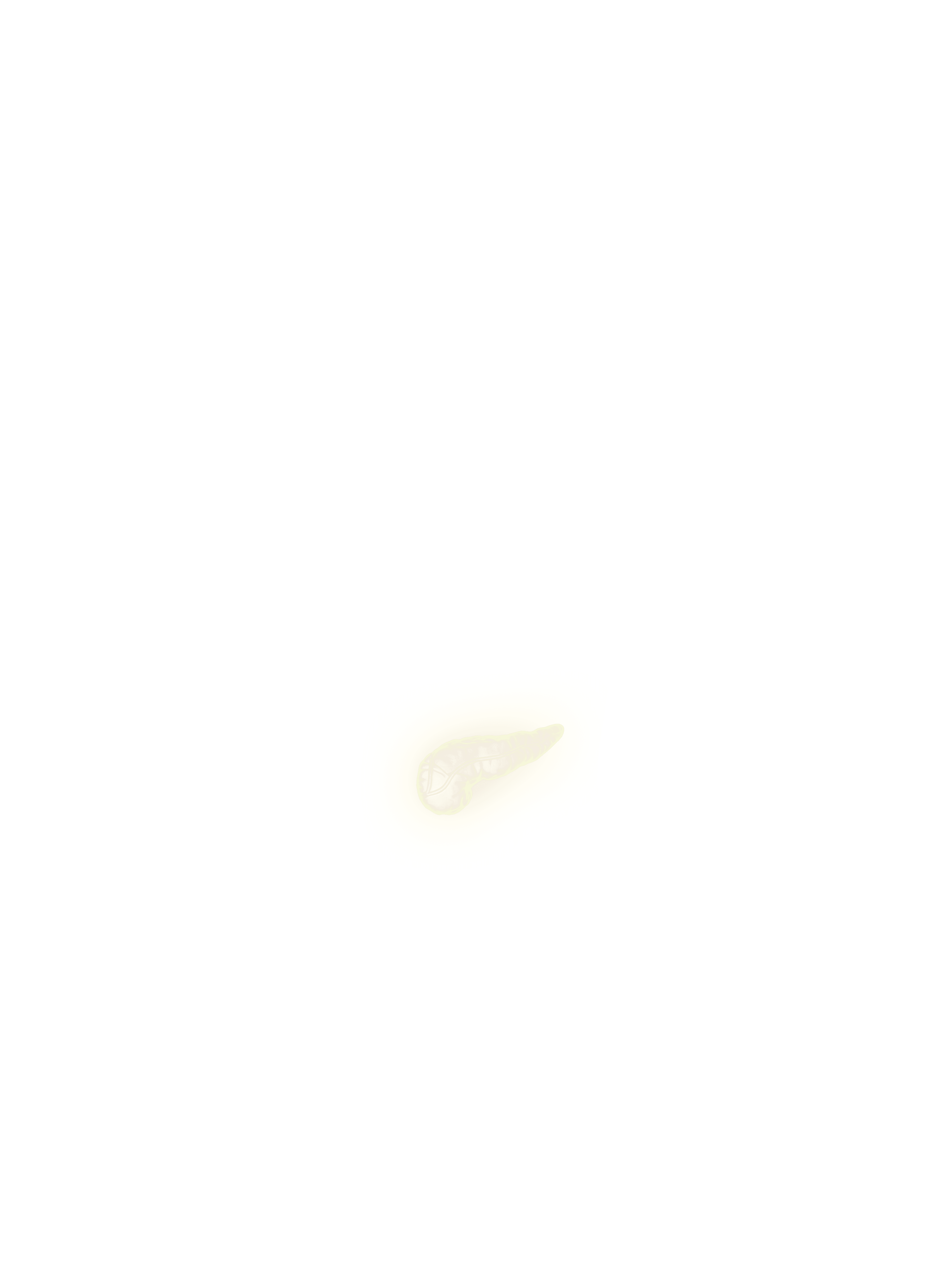 Pancreas overlay