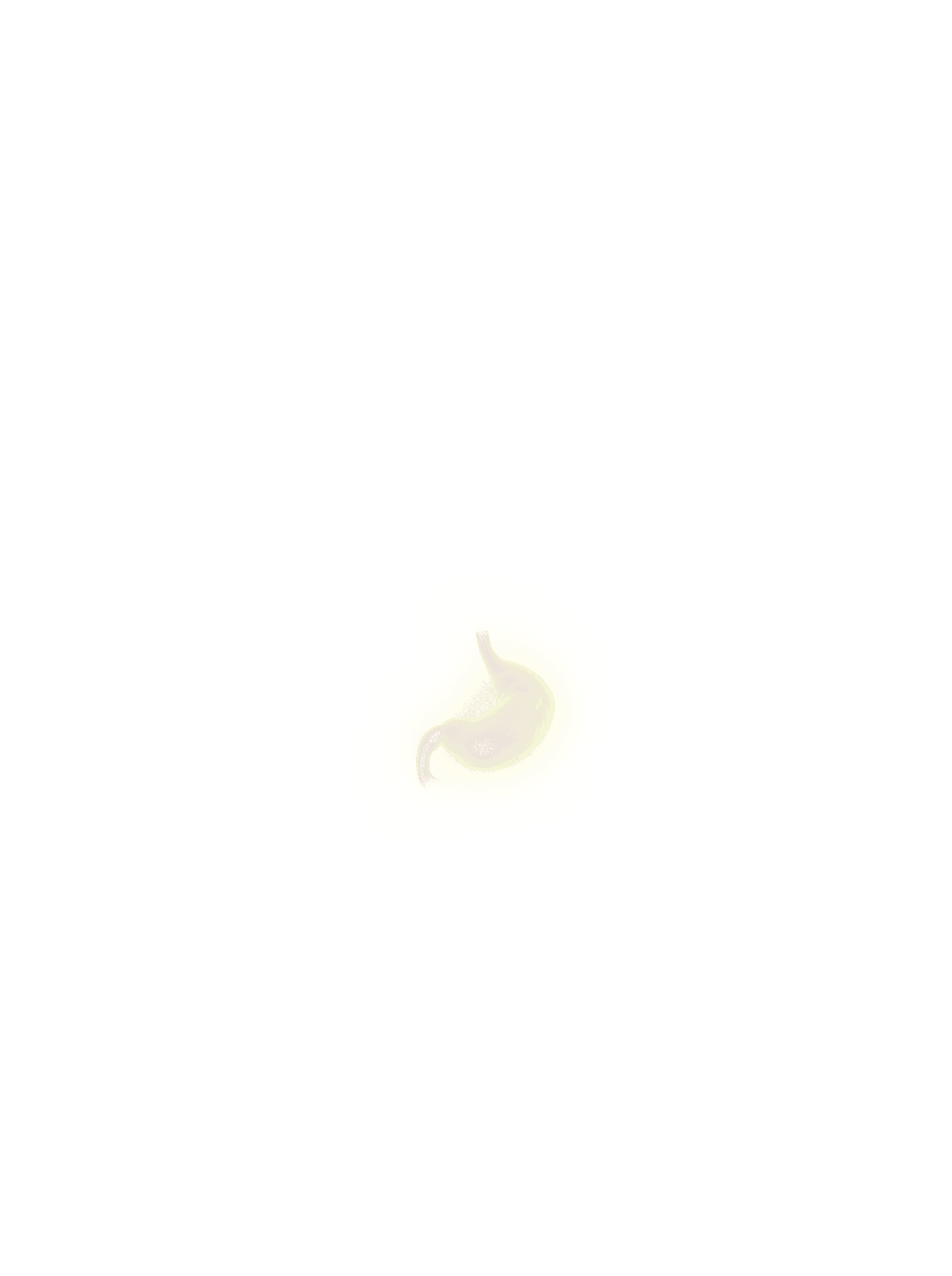 Stomach overlay