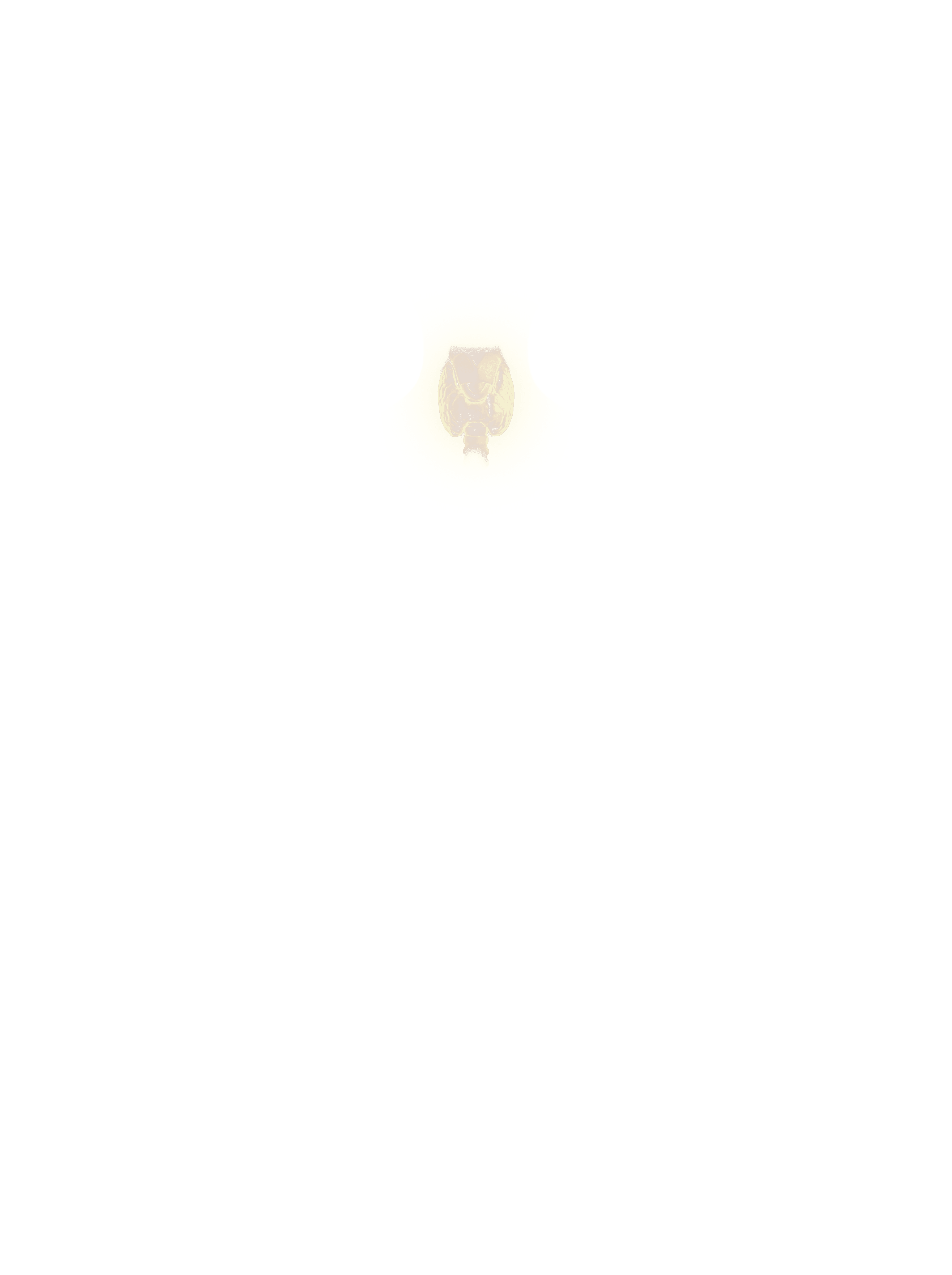 Thyroid overlay